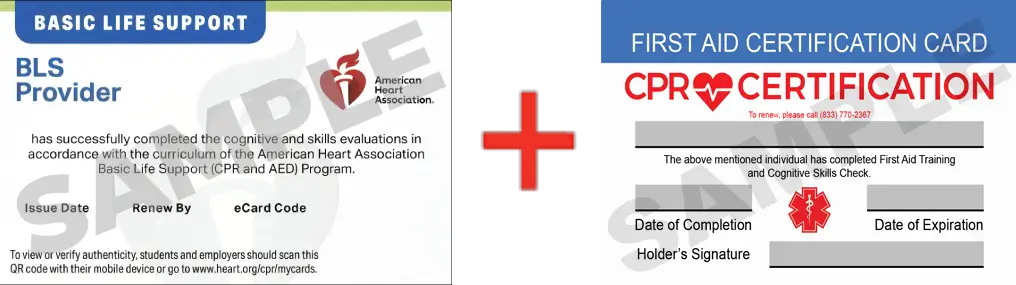 Sample American Heart Association AHA BLS CPR Card Certification and First Aid Certification Card from CPR Certification Irving