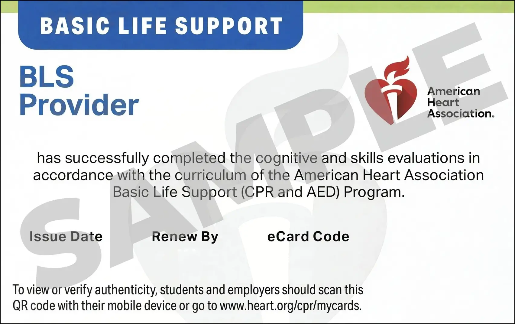 Sample American Heart Association AHA BLS CPR Card Certification from CPR Certification Irving